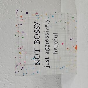 Sincere Surroundings  Not Bossy just aggressively helpful mini Wood Sign